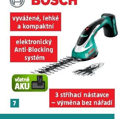 BOSCH ASB 10,8 LI