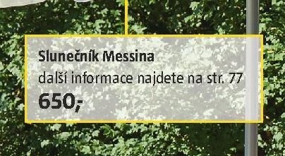 Slunečník Messina