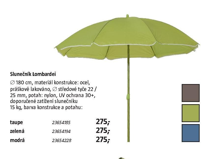 Slunečník Lombardei