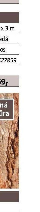 Rákosová plotová clona
