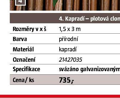 Kapradí – plotová clona