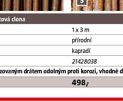 Kapradí – plotová clona