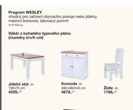 Program WESLEY