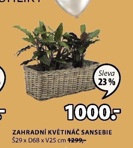 ZAHRADNÍ KVĚTINÁČ SANSEBIE