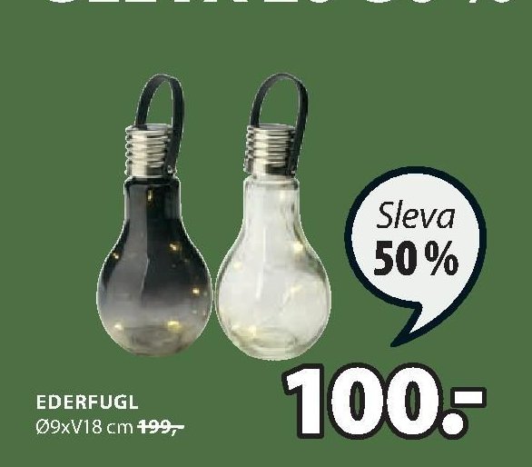 EDERFUGL