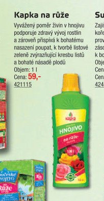 Kapka na růže
