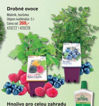 Drobné ovoce
