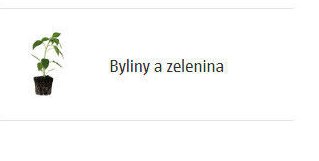 Byliny a zelenina
