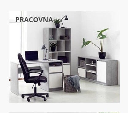 PRACOVNA
