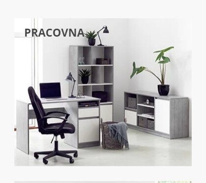 PRACOVNA