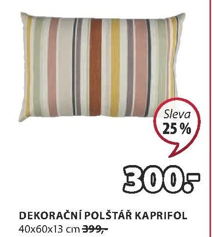 DEKORAČNÍ POLŠTÁŘ KAPRIFOL 40x60x13 cm