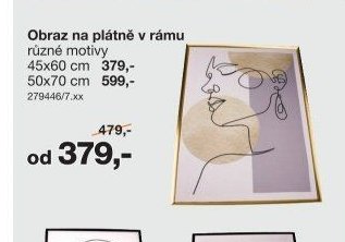 Obraz na plátně v rámu 45x60 cm / 50x70 cm