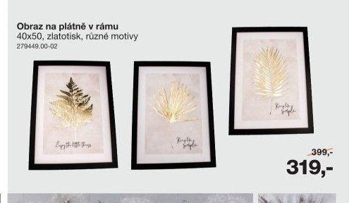 Obraz na plátně v rámu 40x50 cm