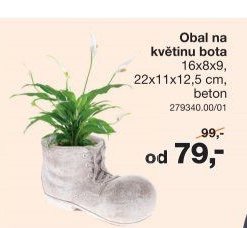 Obal na květinu bota