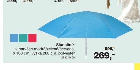 Slunečník