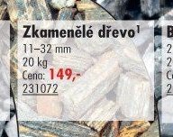 Zkamenělé dřevo