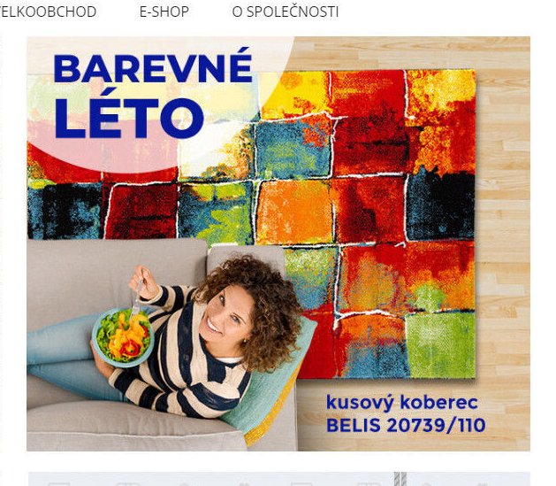 Kusový koberec BELIS 20739/110