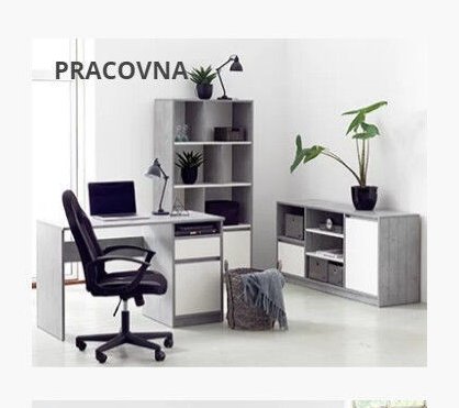 PRACOVNA