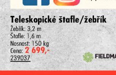 Teleskopické štafle/žebřík