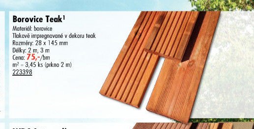 Borovice Teak