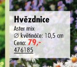 Hvězdnice