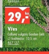 Vřes