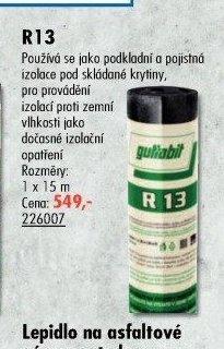 R13