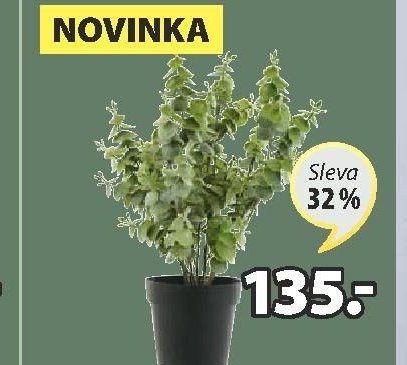 Umělá rostlina KLAUSEN