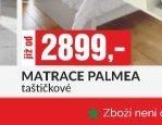 MATRACE PALMEA