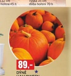 dýně halloween