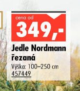 Jedle Nordmann řezaná