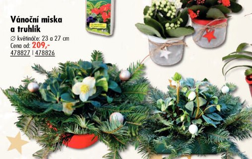 Vánoční miska a truhlík