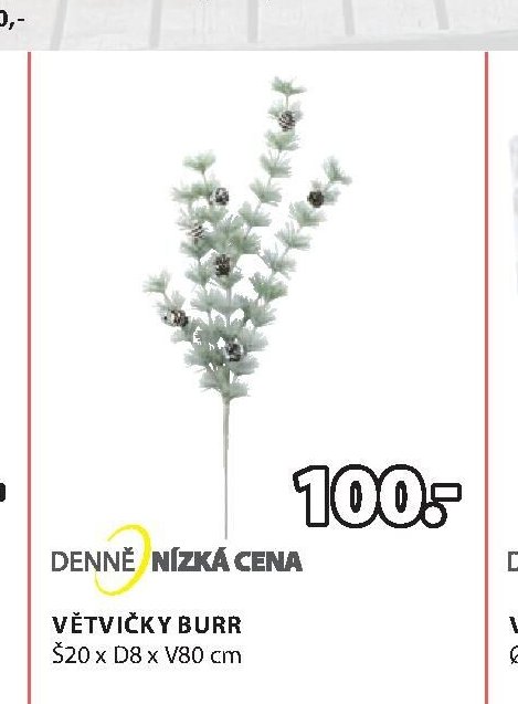 VĚTVIČKY BURR