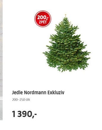 Jedle Nordmann Exkluziv
