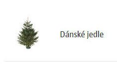 Dánské jedle