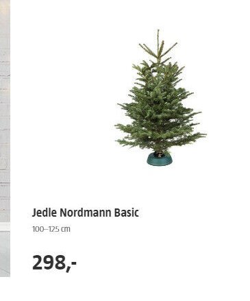 Jedle Nordmann Basic