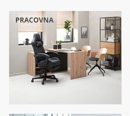 PRACOVNA