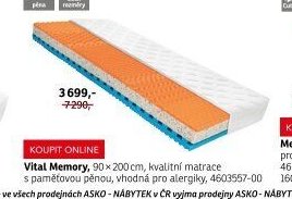 Vital Memory