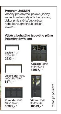 Program JASMIN