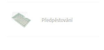 Předpěstování