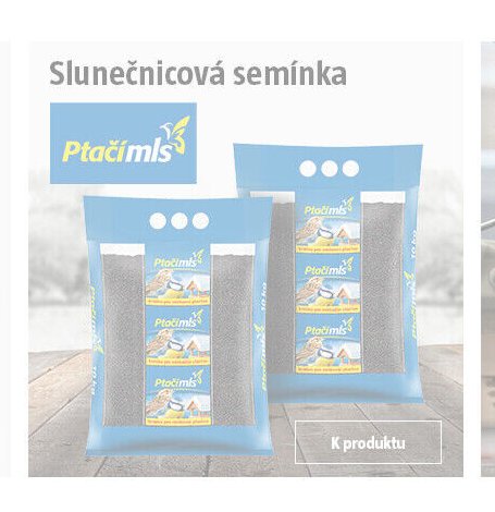Slunečnicová semínka
