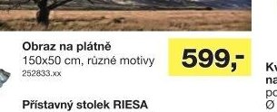 Obraz na plátně