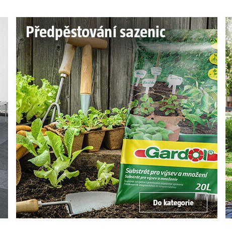 Předpěstování sazenic
