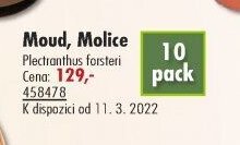 Moud, Molice
