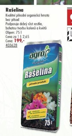 Rašelina