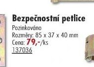Bezpečnostní petlice
