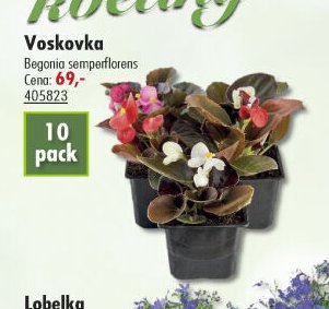 Voskovka