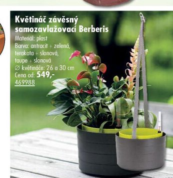Květináč závěsný samozavlažovací Berberis