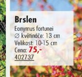 Brslen