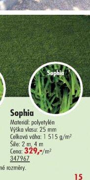 Sophia